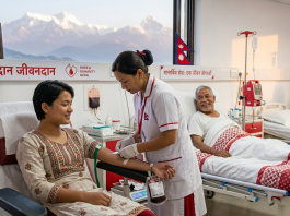 World Blood Donor Day