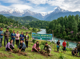 World Environment Day